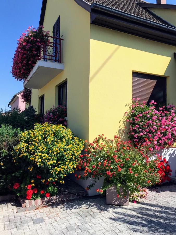Alsace Gite Jardin Garage Motos Velos Pres Colmar Eguisheim Oberhergheim Buitenkant foto