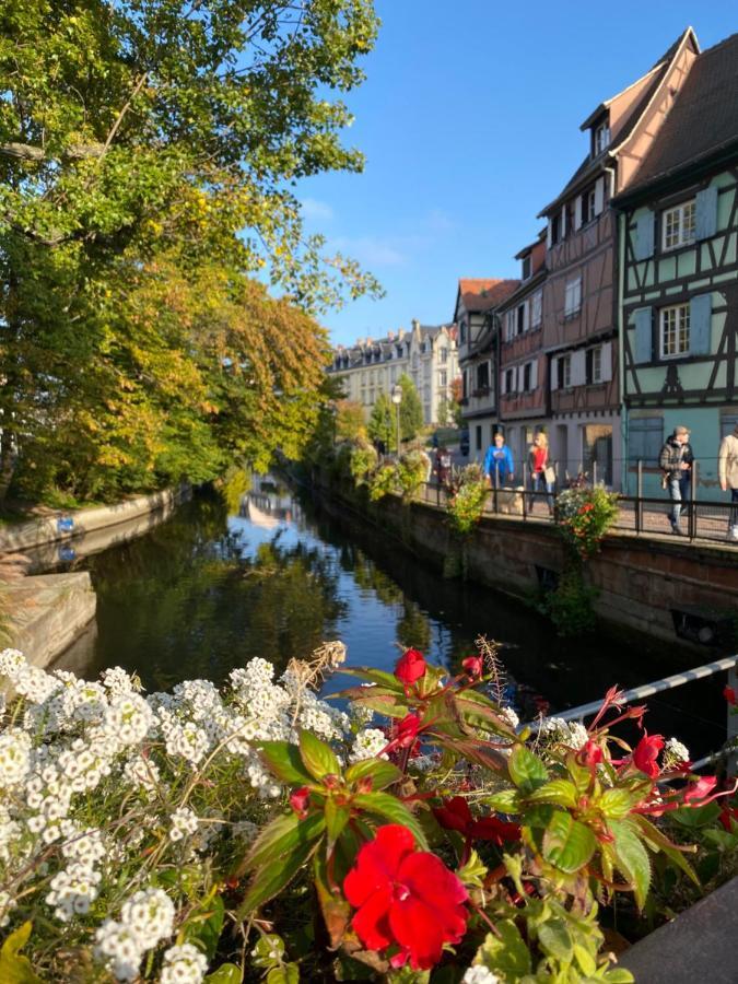 Alsace Gite Jardin Garage Motos Velos Pres Colmar Eguisheim Oberhergheim Buitenkant foto