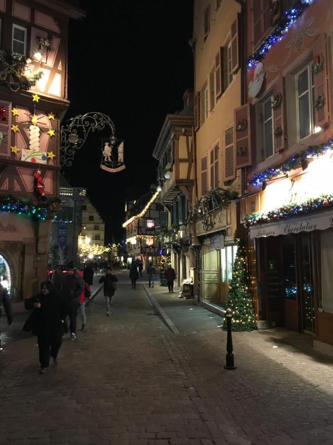 Alsace Gite Jardin Garage Motos Velos Pres Colmar Eguisheim Oberhergheim Buitenkant foto