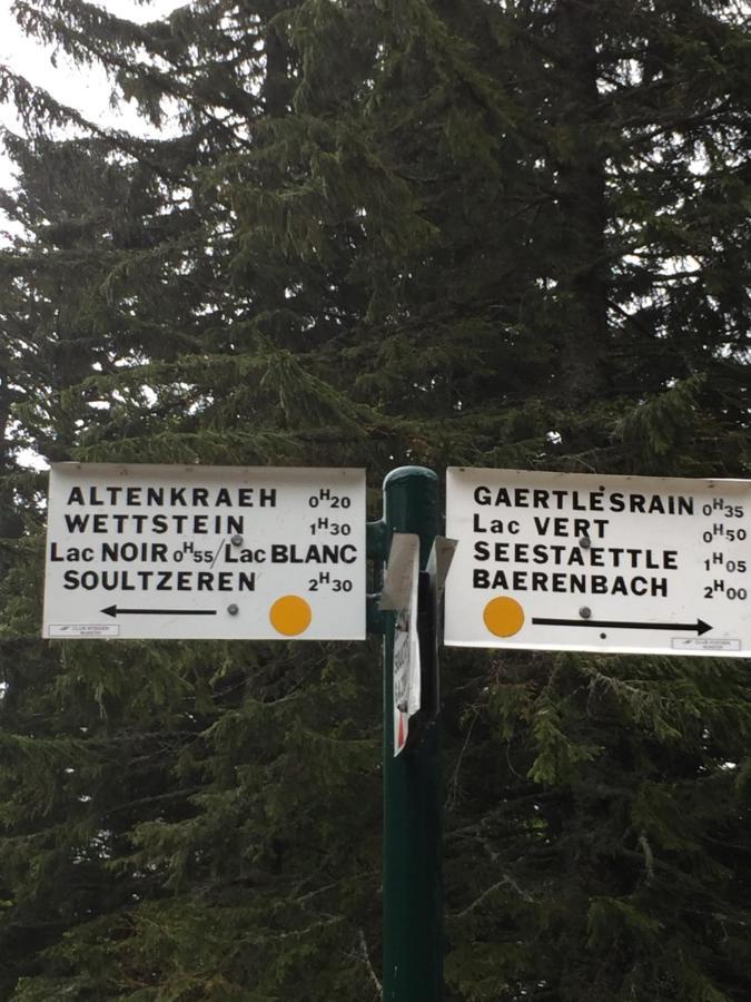 Alsace Gite Jardin Garage Motos Velos Pres Colmar Eguisheim Oberhergheim Buitenkant foto