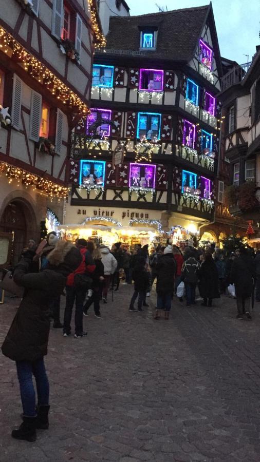 Alsace Gite Jardin Garage Motos Velos Pres Colmar Eguisheim Oberhergheim Buitenkant foto