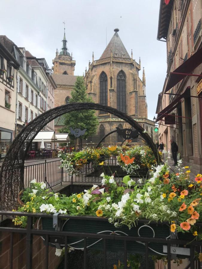 Alsace Gite Jardin Garage Motos Velos Pres Colmar Eguisheim Oberhergheim Buitenkant foto