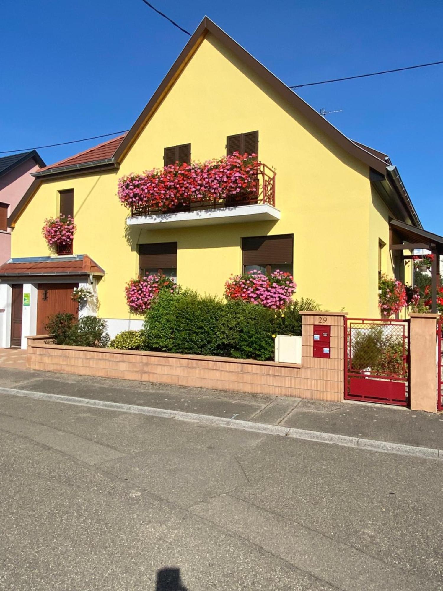 Alsace Gite Jardin Garage Motos Velos Pres Colmar Eguisheim Oberhergheim Buitenkant foto