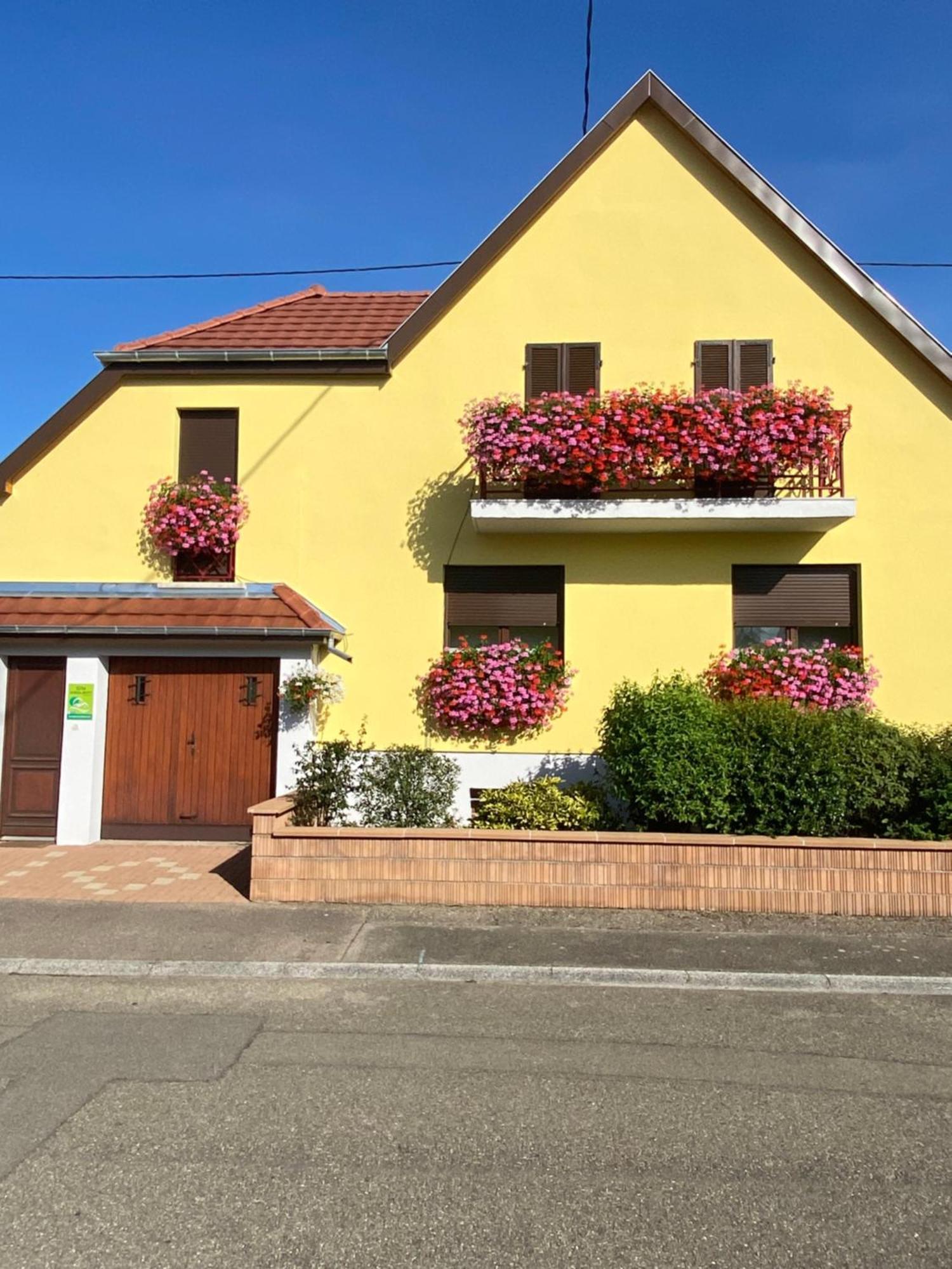 Alsace Gite Jardin Garage Motos Velos Pres Colmar Eguisheim Oberhergheim Buitenkant foto